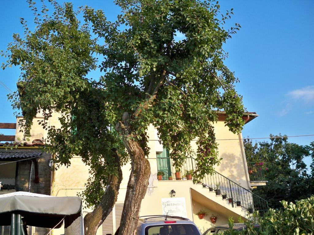 B&B Il Pantanello 罗卡迪帕帕 外观 照片